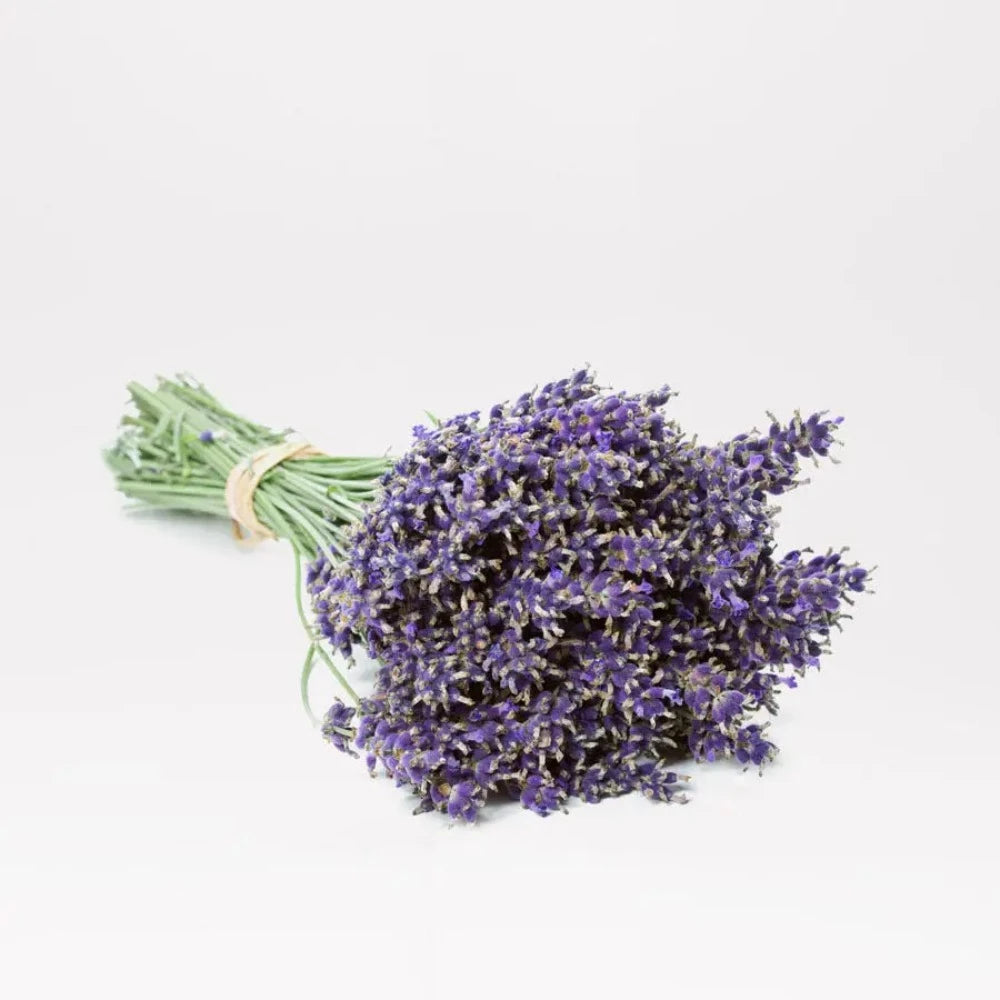 Dried Lavender www.chasethebutterflies.com