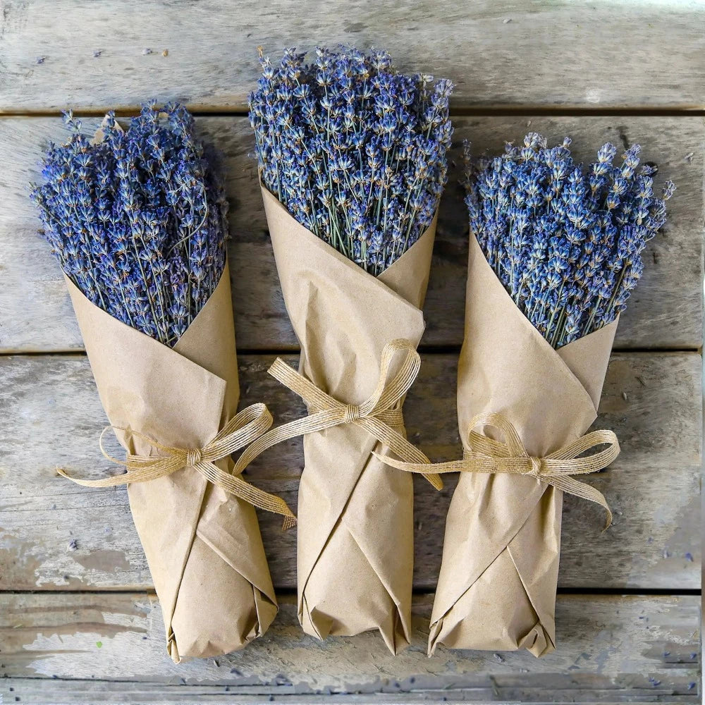 Dried Lavender www.chasethebutterflies.com