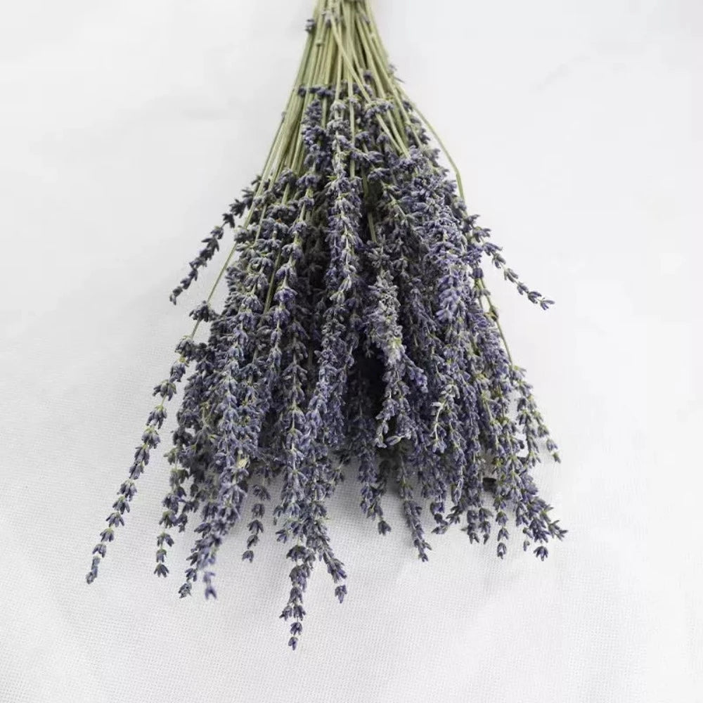 Dried Lavender www.chasethebutterflies.com