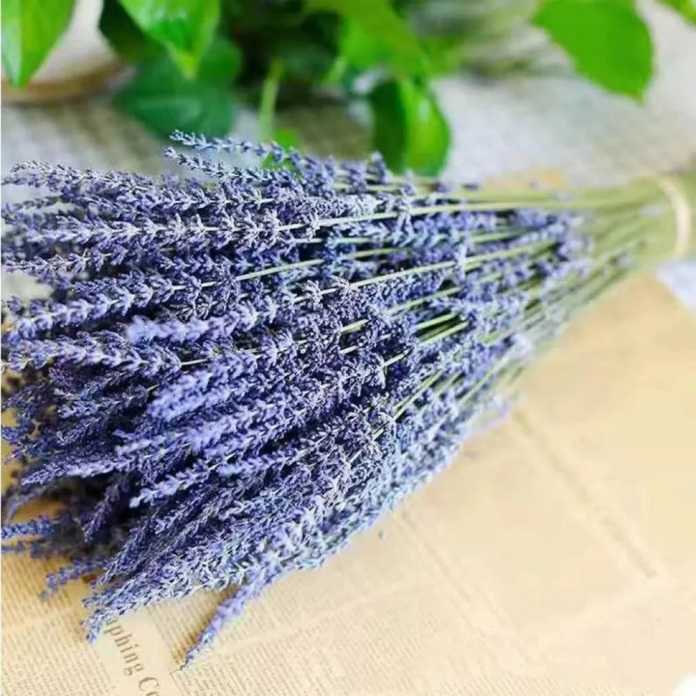 Dried Lavender www.chasethebutterflies.com