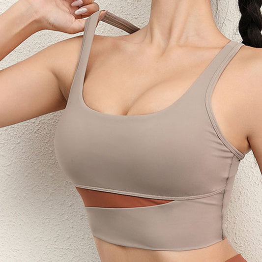 Two - Toned Sports Bra - Butterfly & Birch Co